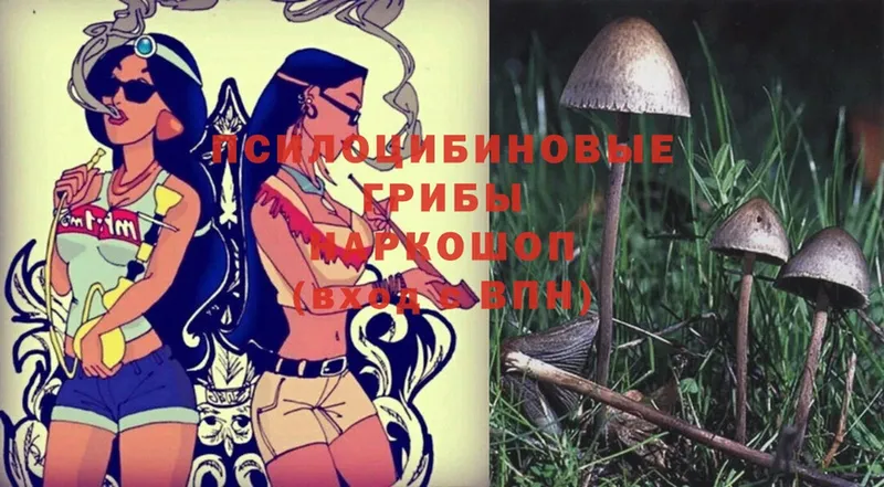 Галлюциногенные грибы MAGIC MUSHROOMS  Серафимович 